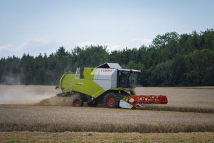 ag真人游戏官网-田径跨项目交流营探索协同训练新方式，田径跨栏的动作讲解